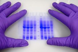 Hp 19188 I Stock Blue Protein