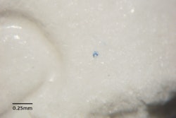 Hp 20216 0000008299 Blue Spot On Tablet Rev