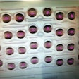 A setup screen of PCI’s vision system looks at gel caps that are very light pink and nearly transparent. The pink areas show that the system is easily detecting gel caps with no background noise.