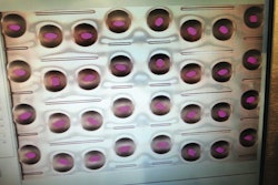 A setup screen of PCI’s vision system looks at gel caps that are very light pink and nearly transparent. The pink areas show that the system is easily detecting gel caps with no background noise.