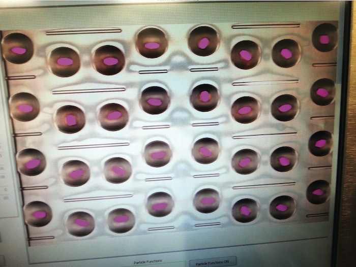 A setup screen of PCI’s vision system looks at gel caps that are very light pink and nearly transparent. The pink areas show that the system is easily detecting gel caps with no background noise.