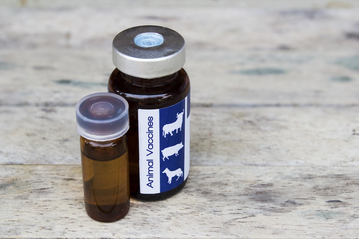 FDA issues draft guidance on labeling for new animal drugs Healthcare