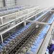 This PVC glove production line is an example of plastics processing machinery.