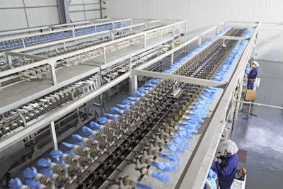 This PVC glove production line is an example of plastics processing machinery.