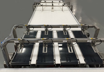 Flexible bag conveyors transport product for seamless line integration.