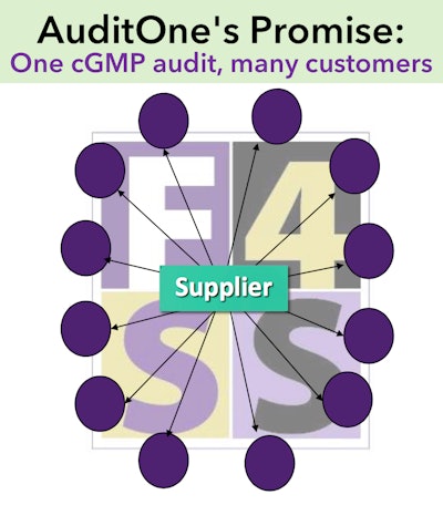 AuditOne: Brands rally around a single quality audit standard.