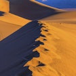 The clinical trials could help improve delivery in high-temperature regions of the world.