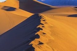 The clinical trials could help improve delivery in high-temperature regions of the world.