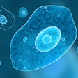 International Stem Cell Corp.’s Phase 1 clinical trial in Australia for Parkinson’s disease will be supported by Cryoport logistics services. This image is for illustrative purposes only.