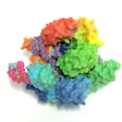 3D-printed model of CAS9, part of the CRISPR gene-editing system. Photo: NIH Image Gallery/via Flickr