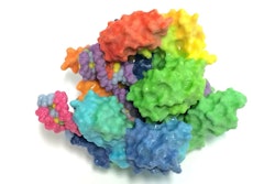 3D-printed model of CAS9, part of the CRISPR gene-editing system. Photo: NIH Image Gallery/via Flickr