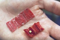 Origami Robot / Photo: Massachutes Institue of Technology Facebook