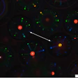 Generating unclonable patterns to fight counterfeiting.