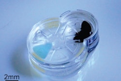 The completed device after layers have been sealed. Photo: SauYin Chin/Columbia Engineering