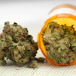 ASTM International Eyes Potential Cannabis Standards, Committee