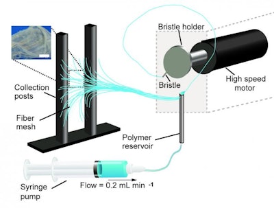 A schematic of the pull spinning apparatus with a side view illustration of a fiber being pulled from the polymer reservoir. The pull spinning system consists of a rotating bristle that dips and pulls a polymer jet in a spiral trajectory (Leila Deravi/Harvard University)