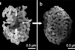 Silica Cages / Image: Royal Society of Chemistry