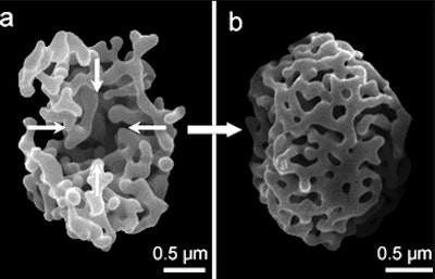 Silica Cages / Image: Royal Society of Chemistry