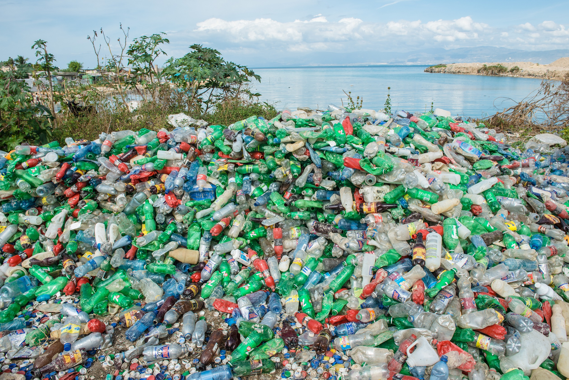 Dell harnessed its sustainable packaging innovation and supply chain expertise to build a supply chain for ocean plastic.