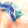 A new, flexible adhesive material inspired by the glue secreted by slugs adheres to biological tissues (even when wet) without causing toxicity, and can be formed into either sheets (teal blue) or custom shapes (dark blue). Credit: Wyss Institute at Harvard University