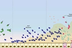 The image illustrates how only bacteria that leave the colony are attacked by the vaccine. / Image: Jones