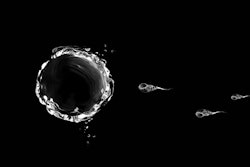 Sperm Delivery / Image: Georges Kyrillos / Alamy