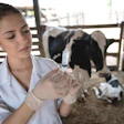New Draft Guidance Issued for Animal Drug Names