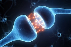 Brain Neuron Receptor