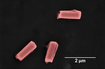 Nanorobots coated with special membrane. / Esteban-Fernández de Ávila/Science Robotics