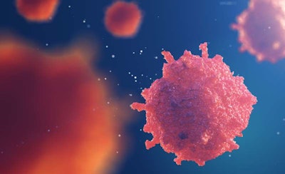 Cancer Cells / Image: Artem Egorov