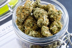 Epidiolex will cost $32,500/year / Image: Shutterstock