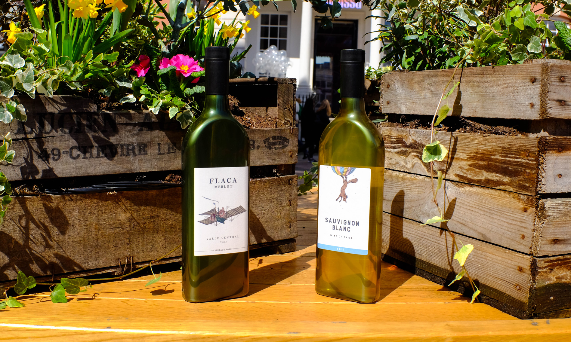 Flat Wine Bottle For E Commerce Is A Dow Diamond Finalist Healthcare Packaging