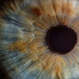 Human Eye / Image: Tech Radar