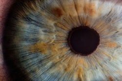 Human Eye / Image: Tech Radar
