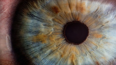 Human Eye / Image: Tech Radar