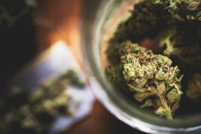 Medical Marijuana / Image: Getty Images