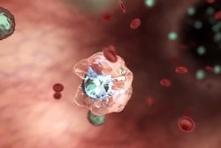 HIV Invected Cell / Image: Zion Pharma