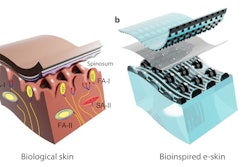 E-Skin / Image: Z Bao