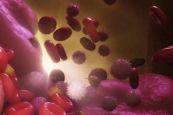 Senescent Cells / Image: MSN