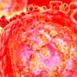 Cancer Cell / Image: EurekAlert!