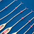IUDs / Image: NYT