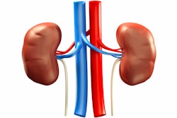 Kidneys / Image: Verywell