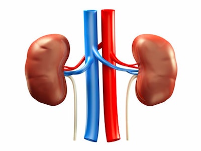Kidneys / Image: Verywell