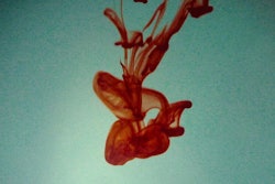 Young Blood / Image: Cory Zapatka