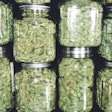 As more states legalize medical marijuana, says a new report, the cannabis industry across the globe has grown more than 310% in the past four years.