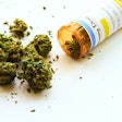Medical Marijuana / Image: Shutterstock