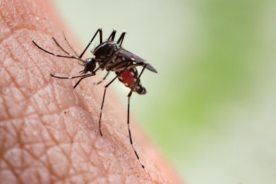 Malaria Carrier / Image: Medical News Today