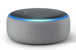 Smart Speaker / Image: Digital Trends
