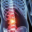 Spine Injury / Image: Michigan Engineering
