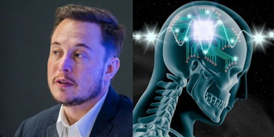Elon Musk / Image: Teslarati